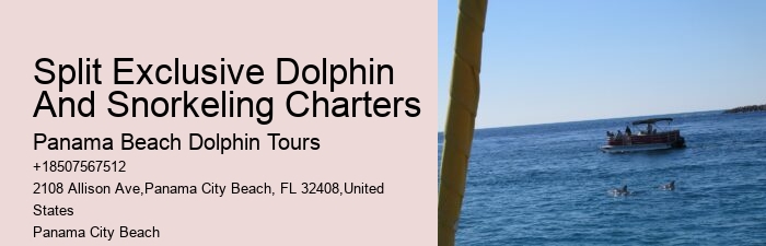 Panama City Beach Dolphin Jet Ski Tours