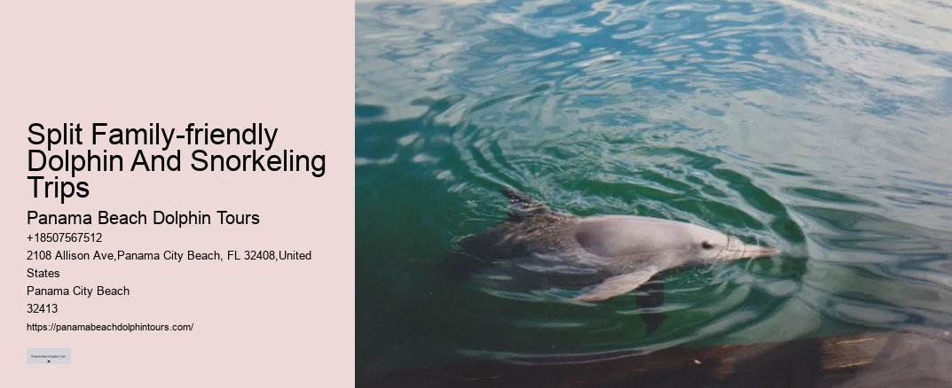 Split Family-friendly Dolphin And Snorkeling Trips