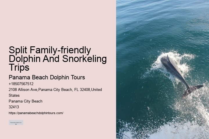 Sunset Dolphin Tour Panama City Beach