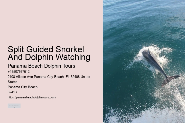 PCB Dolphin Discovery Voyages