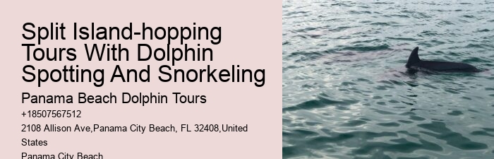 Personalized Dolphin Watching and Snorkeling Trips