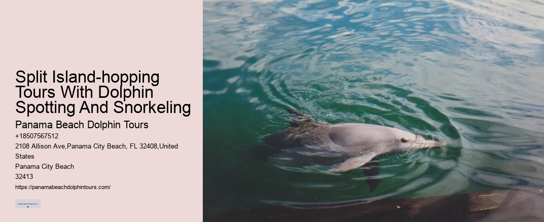 Split Island-hopping Tours With Dolphin Spotting And Snorkeling