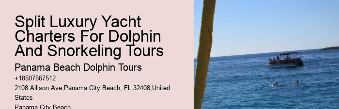 Guided tours