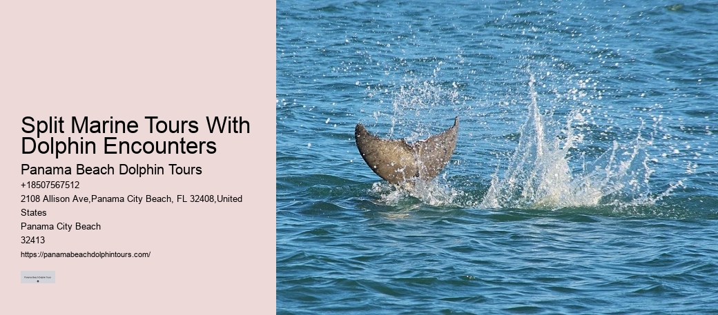 Are Dolphins Actually Happy In Captivity