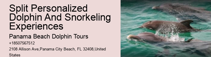 Panama City Beach Dolphin Sightseeing Trips