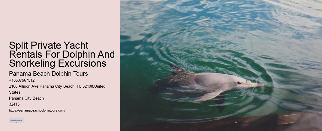 Split Private Yacht Rentals For Dolphin And Snorkeling Excursions