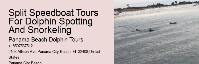 What is the refund policy if I'm not satisfied with the dolphin tour