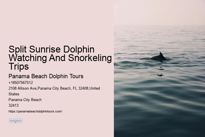 Dolphin Tours 30a