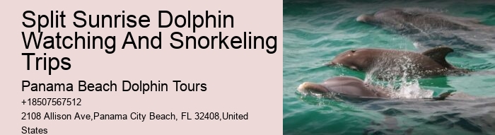 Palm Beach Dolphin Tours