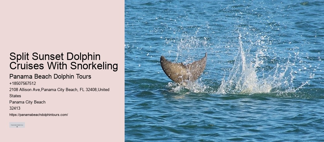 Marine Mammals