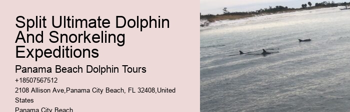 Tide pools