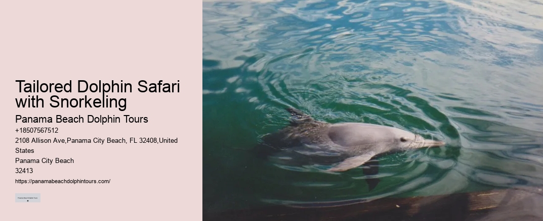 Tailored Dolphin Safari with Snorkeling