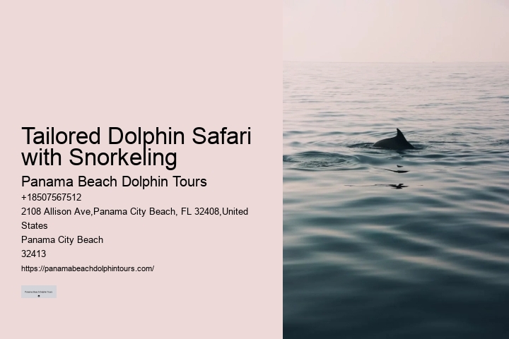 2 Hours Private Dolphin And Snorkeling Tours Florida