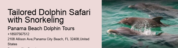Are Panama City Beach dolphin tours available year-round