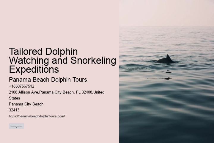 Split Unforgettable Snorkeling And Dolphin Trips