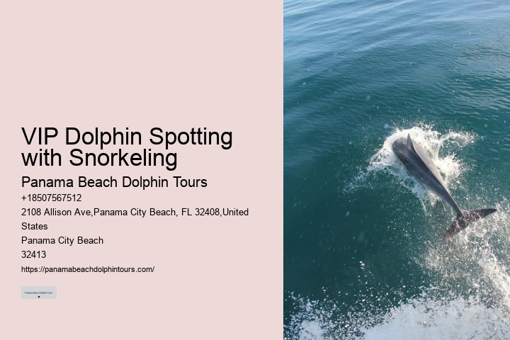 Panama City Beach dolphin watching voyages