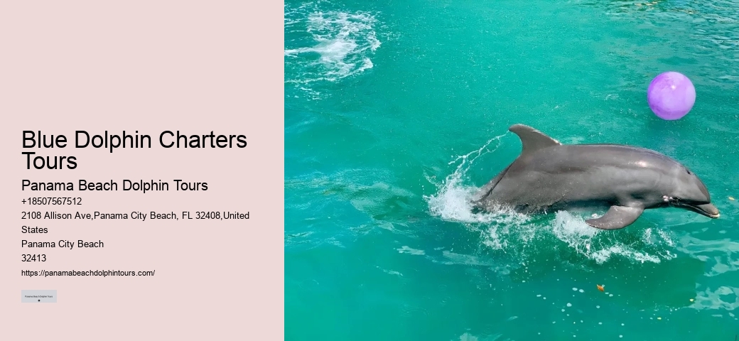 Rudee Dolphin Tours Reviews
