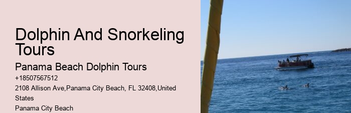 Panama City Beach Dolphin Tours Panama City Beach Fl