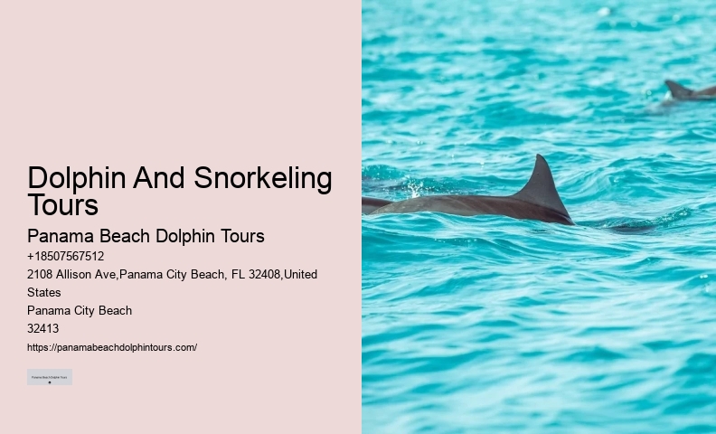 Dolphin Exploration Tours PCB