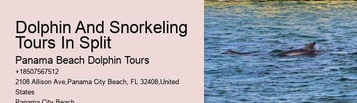 Where Is The Best Place For Dolphin Watching