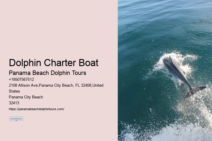 Do Male Dolphins Force Females To Mate