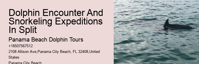 Port Aransas Dolphin Tours