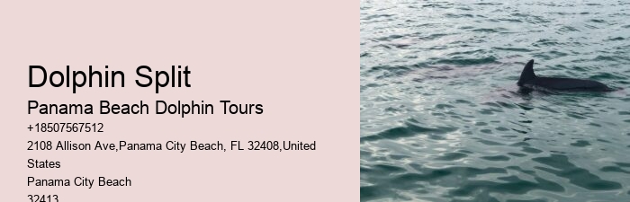 Split Memorable Dolphin And Snorkeling Adventures