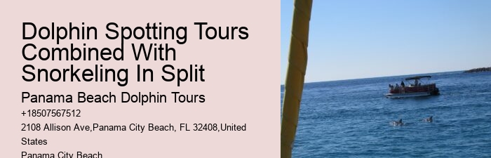 Guided Dolphin Expedition and Snorkeling Tours