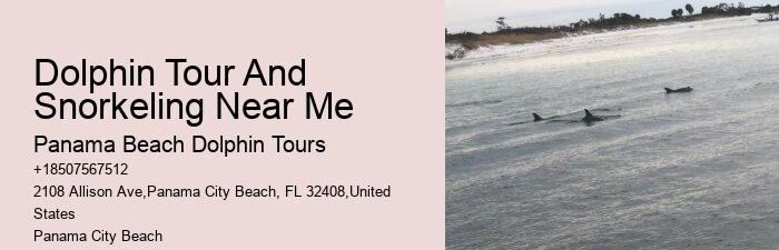 Deluxe Dolphin Discovery and Snorkeling Adventures