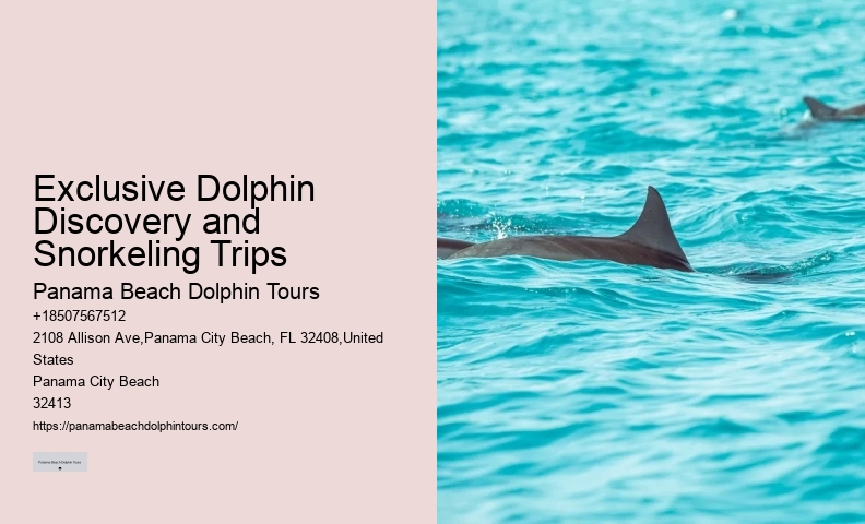 Can I request a specific time for my dolphin tour