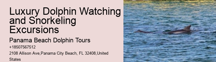 Are there any discounts available for group bookings on dolphin tours in Panama City Beach
