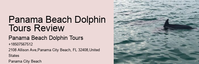 How Do You Attract Dolphins