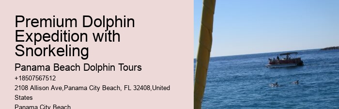 Where Can You Swim With The Dolphins In Panama City