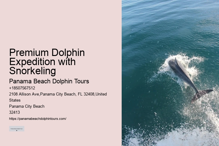 Panama City Dolphin