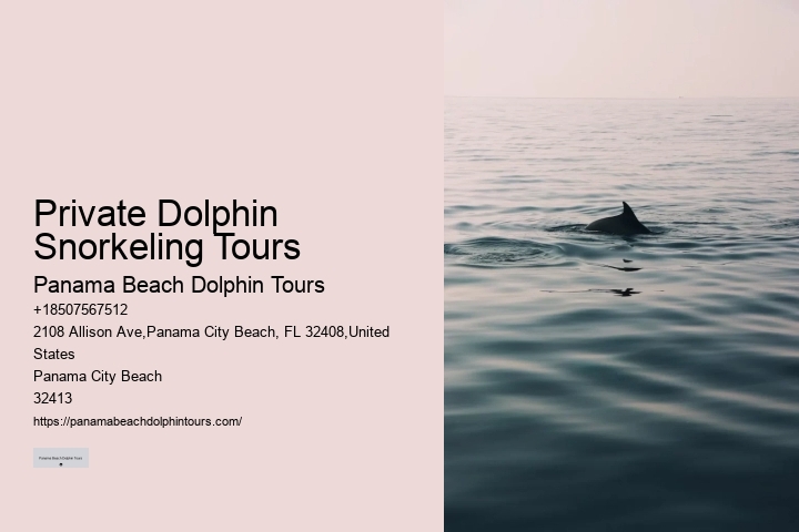 Elite Dolphin Expedition and Snorkeling Tours