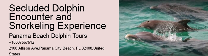 Feeding Or Harassing Marine Mammals In The Wild