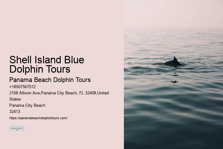 Exclusive Dolphin Expedition and Snorkeling