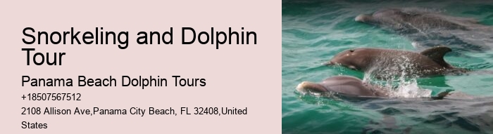 Do Dolphins Really Save Humans