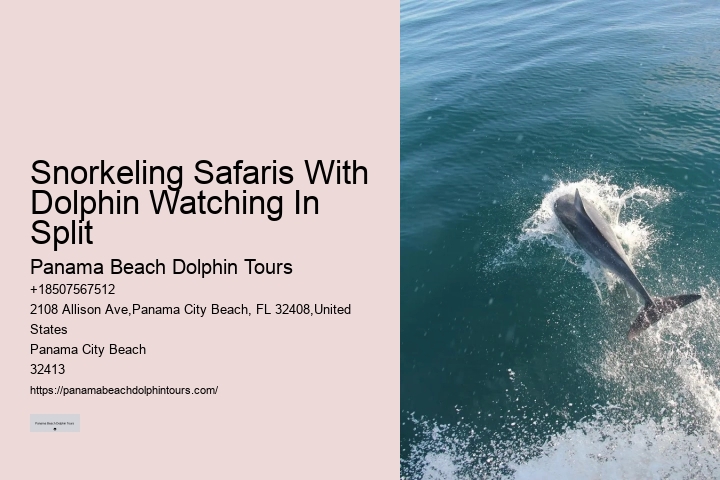 Panama City Beach eco-tours with dolphins