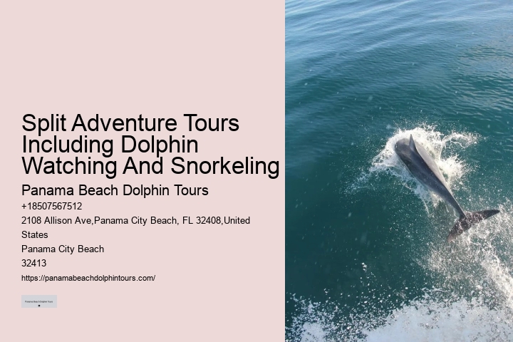 Private Dolphin Tours