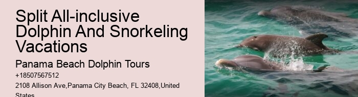 Orange Beach Jet Ski Dolphin Tours