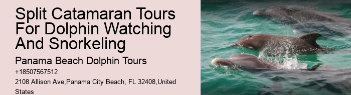 Wild Dolphin Tours Reviews