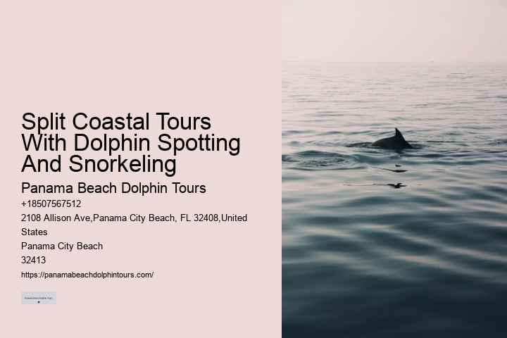 Split Expert-guided Snorkeling And Dolphin Adventures