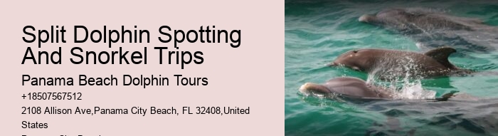 PCB Dolphin Encounters