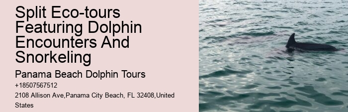 Are there evening sunset dolphin tours available in Panama City Beach