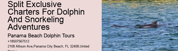 Panama City Beach dolphin watching voyages