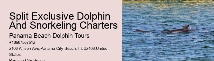 Closest Dolphin Tour Near Me