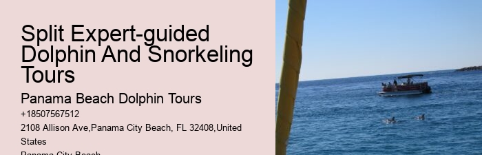 Snorkeling gear