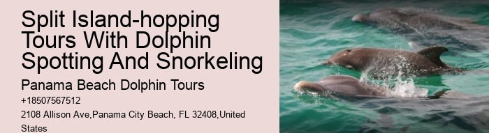 Guided dolphin tours in Panama City Beach