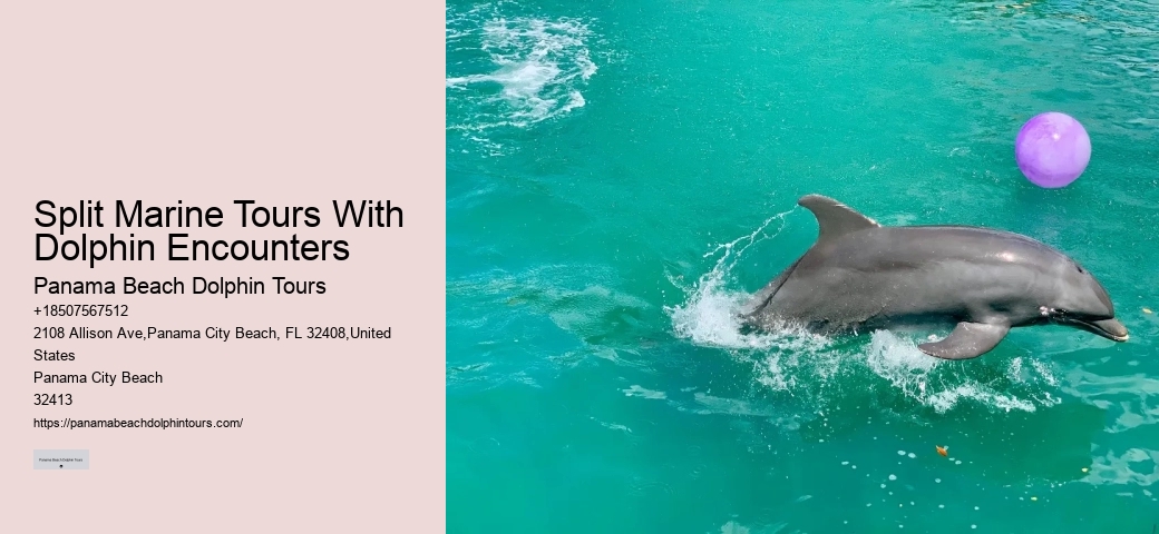 Dolphin Watch 30a